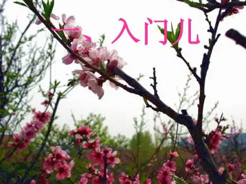 语文八年级上册《大道之行也》