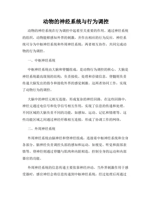 动物的神经系统与行为调控