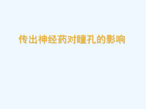 先测量瞳孔直径和对光反射