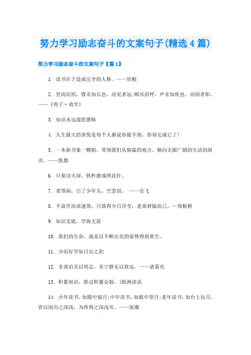 努力学习励志奋斗的文案句子(精选4篇)