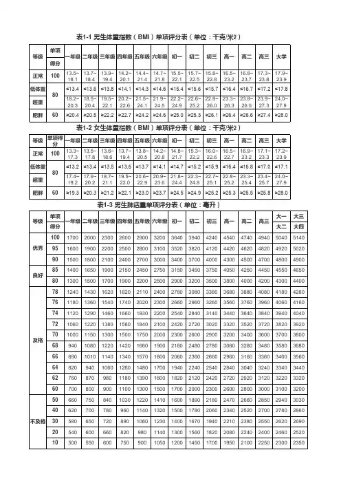 2017体质健康测试项目及评分标准