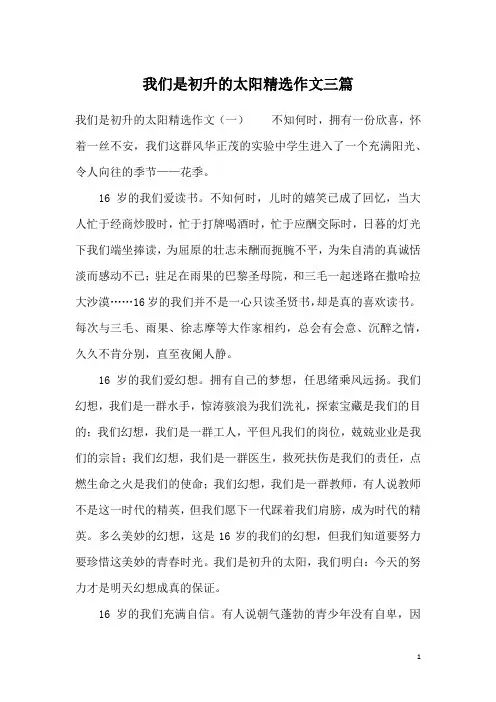 我们是初升的太阳精选作文三篇