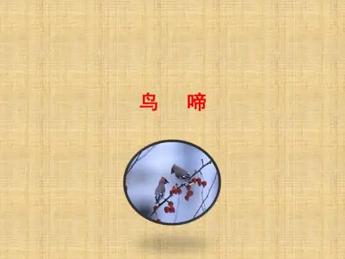 《鸟啼》精品课件