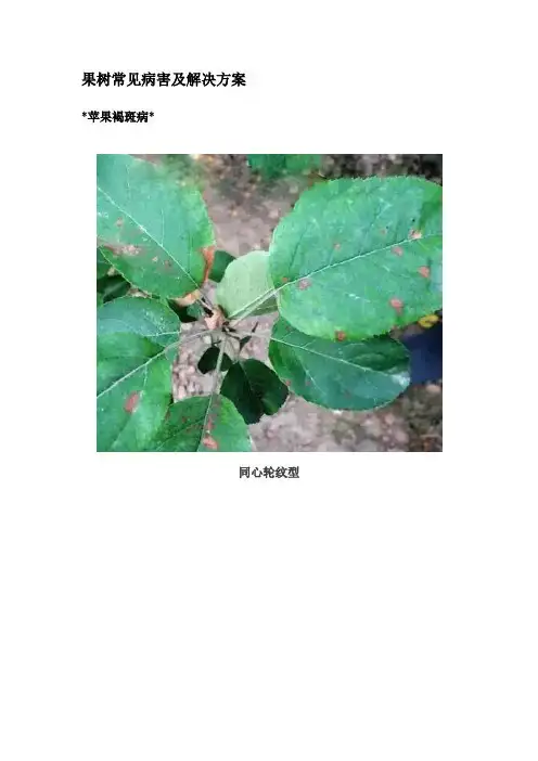 果树常见病害及解决方案