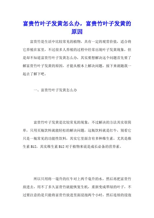 富贵竹叶子发黄怎么办,富贵竹叶子发黄的原因
