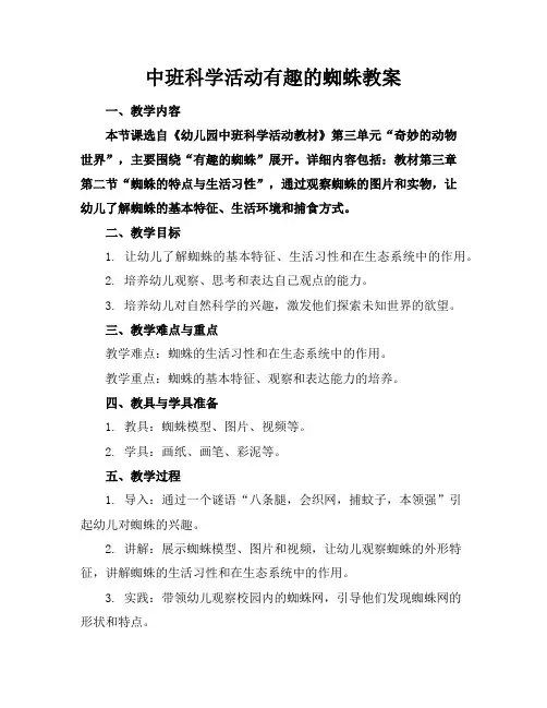 中班科学活动有趣的蜘蛛教案