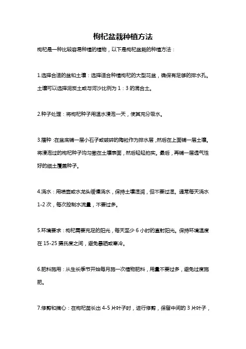 枸杞盆栽种植方法