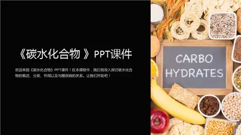 《碳水化合物 》课件