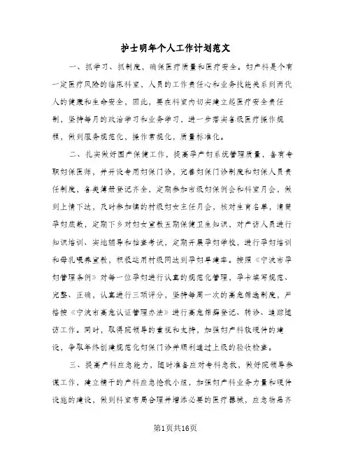护士明年个人工作计划范文（五篇）