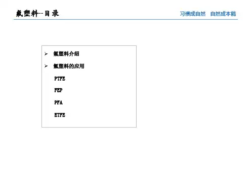 氟塑料ppt课件