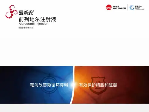 前列地尔PPT课件