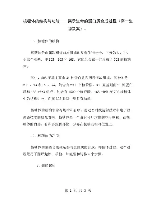 核糖体的结构与功能——揭示生命的蛋白质合成过程(高一生物教案)