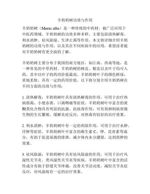 羊奶奶树功效与作用