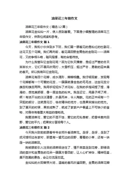 油菜花三年级作文