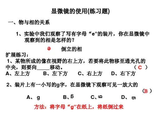显微镜使用练习题