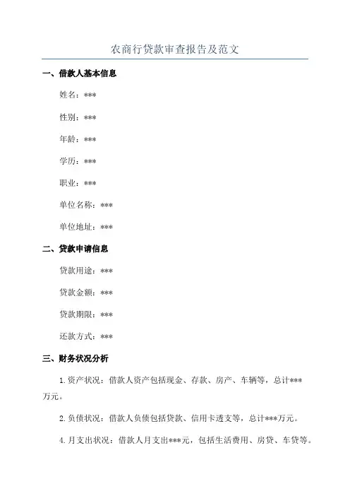 农商行贷款审查报告及范文