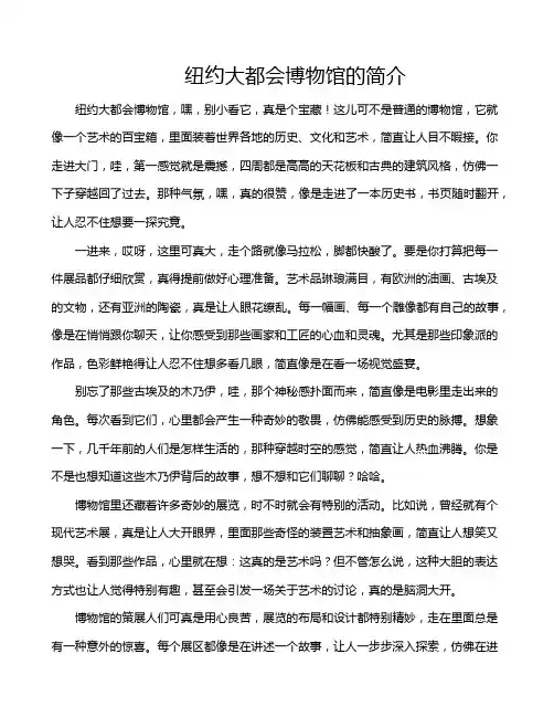 纽约大都会博物馆的简介
