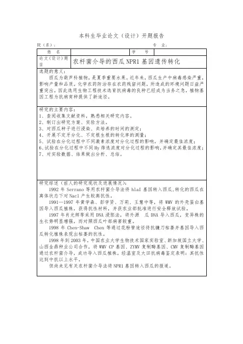 毕业论文开题报告农杆菌介导的西瓜NPR1基因遗传转化