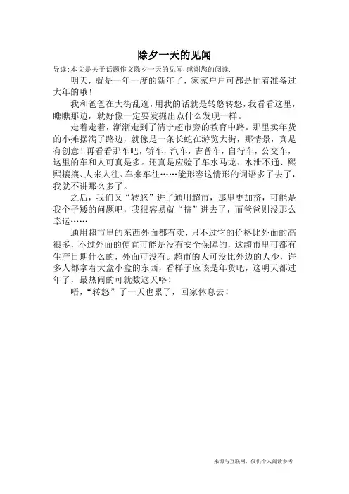 除夕一天的见闻_话题作文