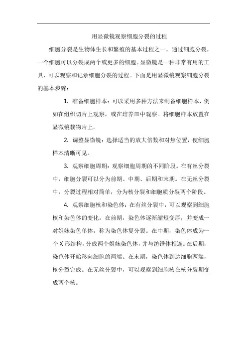 用显微镜观察细胞分裂的过程