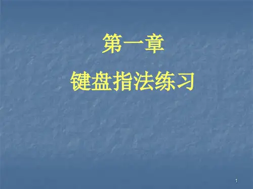 键盘指法练习ppt课件