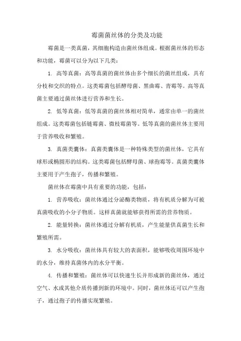 霉菌菌丝体的分类及功能