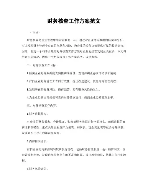财务核查工作方案范文
