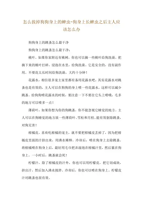 怎么拔掉狗狗身上的蜱虫-狗身上长蜱虫之后主人应该怎么办