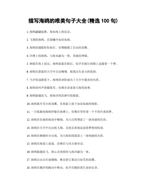 描写海鸥的唯美句子大全(精选100句)