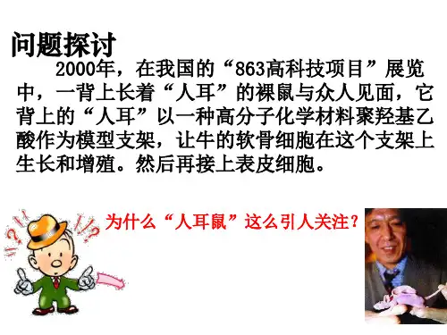 高一生物人体的器官移植(PPT)5-2