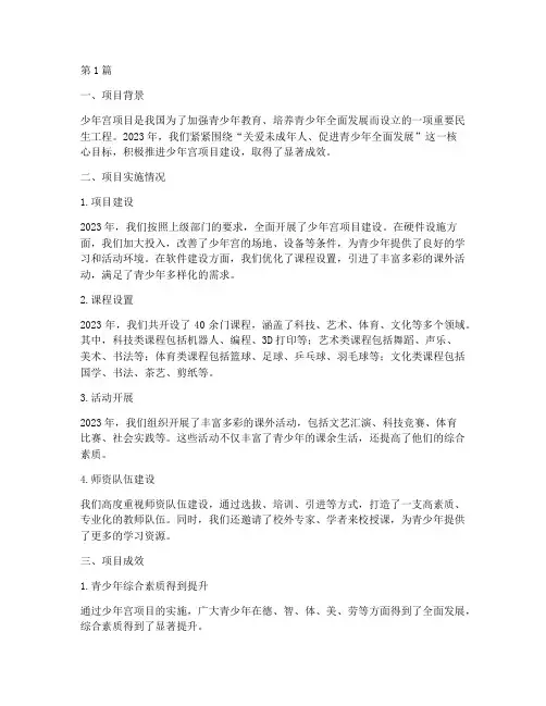 少年宫项目_年度总结(3篇)