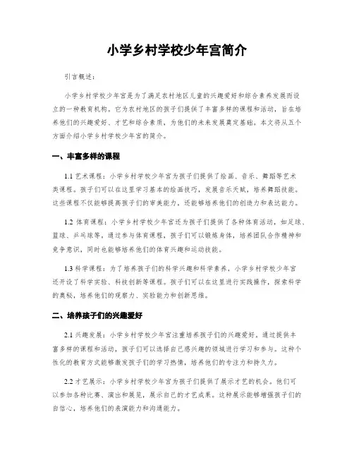 小学乡村学校少年宫简介