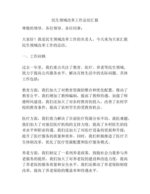 民生领域改革工作总结汇报