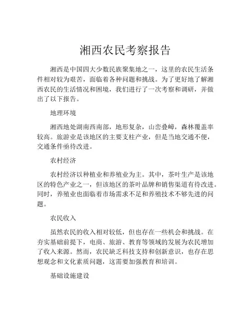 湘西农民考察报告