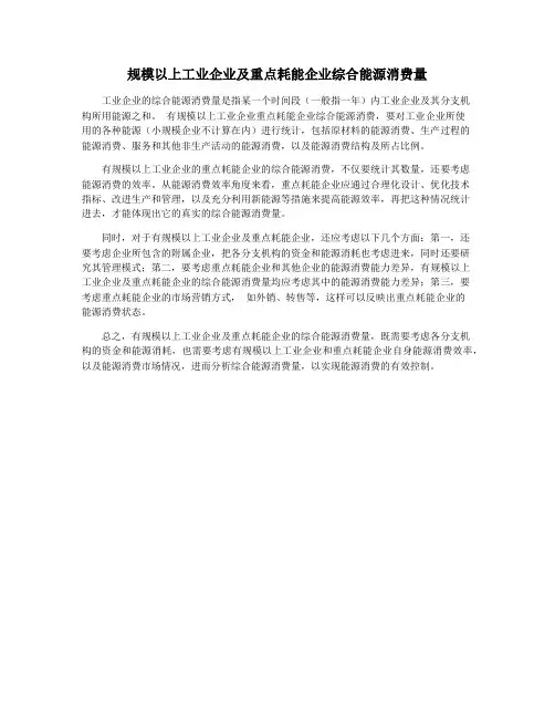 规模以上工业企业及重点耗能企业综合能源消费量