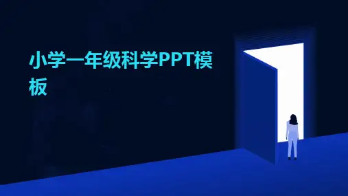 2024版小学一年级科学PPT模板