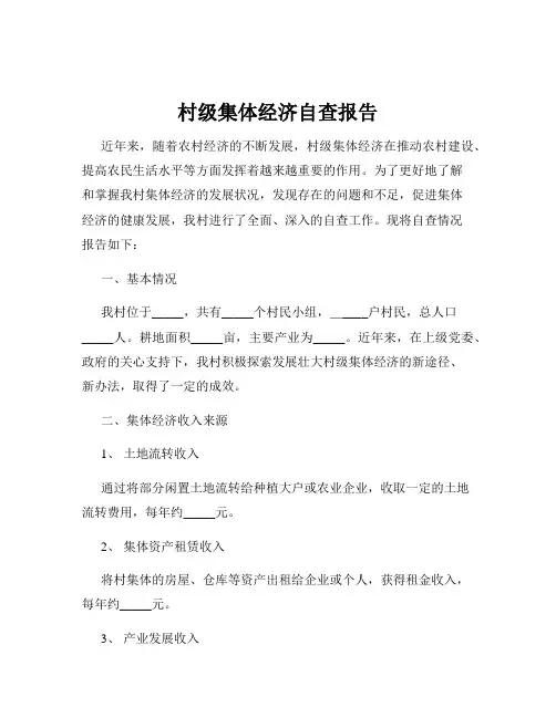 村级集体经济自查报告