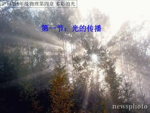 沪教版上海科技版八年级物理 4.1光的传播  PPT课件