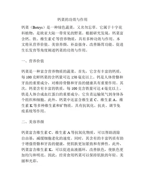 钙菜的功效与作用