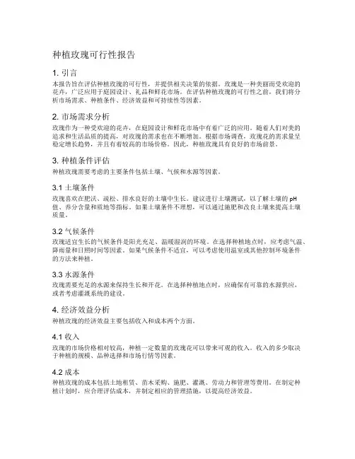 种植玫瑰可行性报告