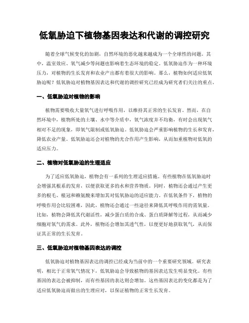 低氧胁迫下植物基因表达和代谢的调控研究