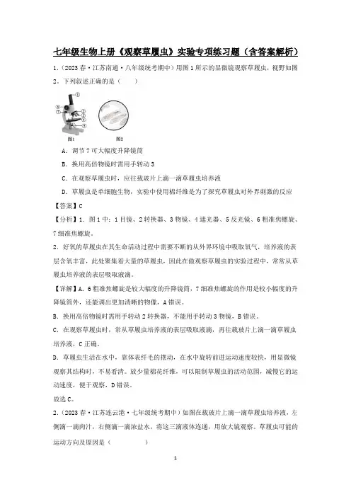七年级生物上册《观察草履虫》实验专项练习题(含答案解析)