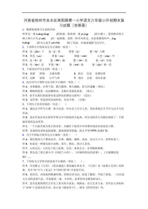 河南省郑州市金水区南阳路第一小学语文六年级小升初期末复习试题(含答案)