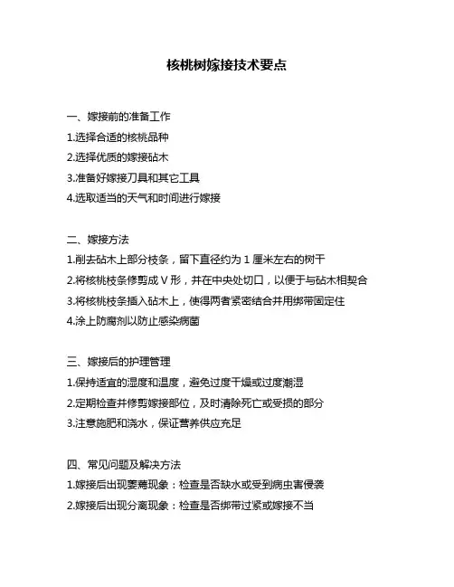 核桃树嫁接技术要点