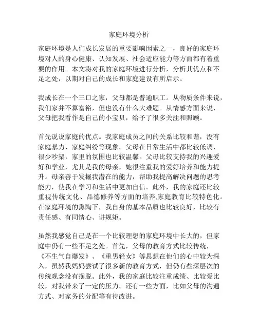 家庭环境分析
