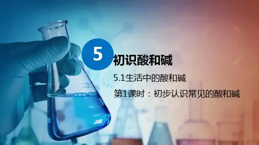 生活中的酸和碱(第1课时)(课件)九年级化学第二学期(沪教版 上海)