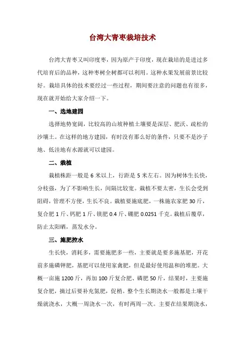 台湾大青枣栽培技术