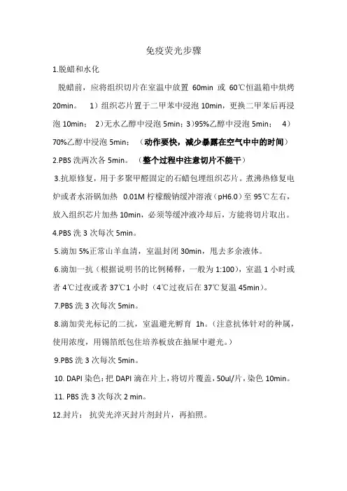 免疫荧光步骤