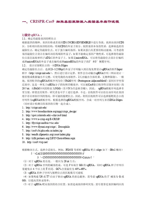 CRISPR-Cas9细胞-动物KOKI实验基本流程-2