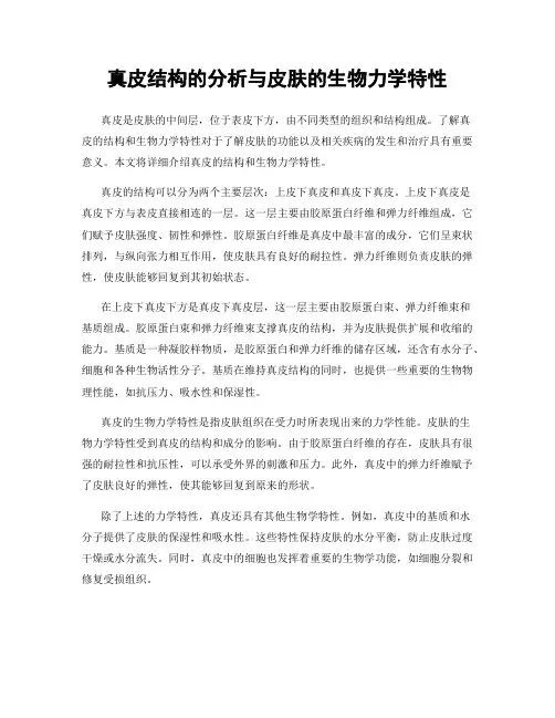 真皮结构的分析与皮肤的生物力学特性